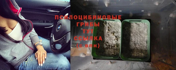 ECSTASY Краснотурьинск
